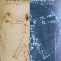 Body By Design