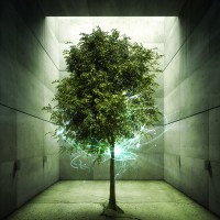 Eternal_Life_Energy_by_ev_one